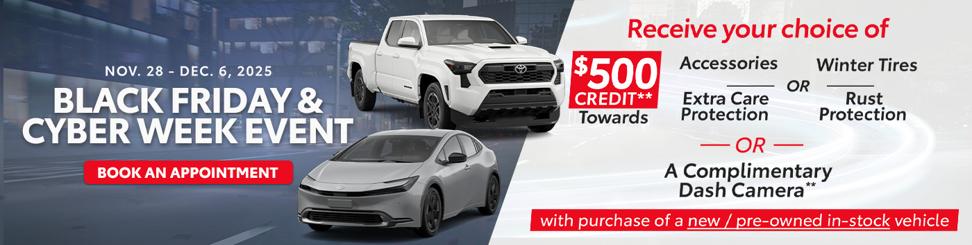 Black Friday and Cyber Week Event