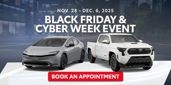 Black Friday and Cyber Week Event